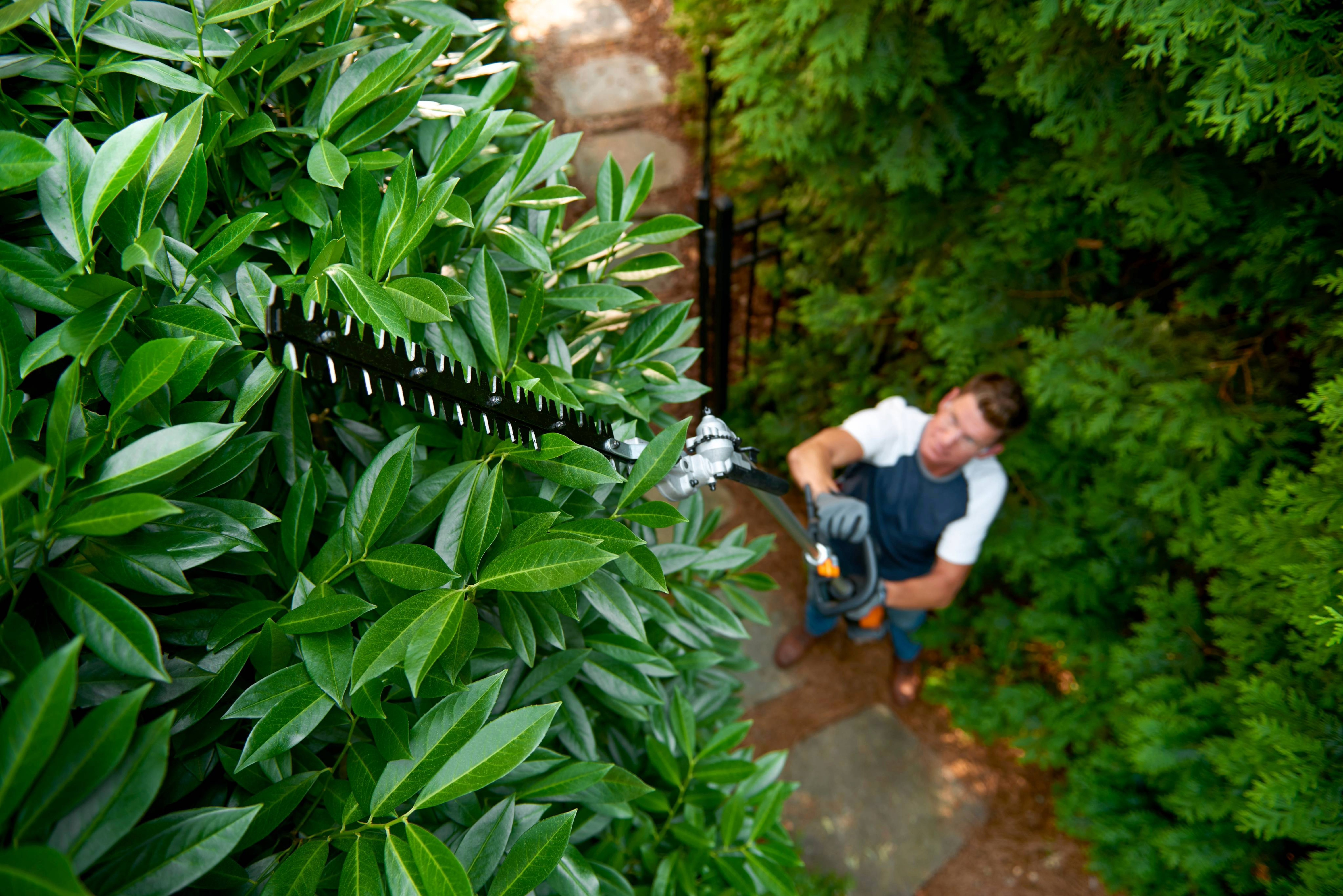 Cortasetos 45 cm 20V (S/bat)